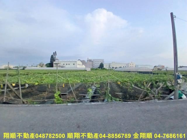 溪湖農地-0