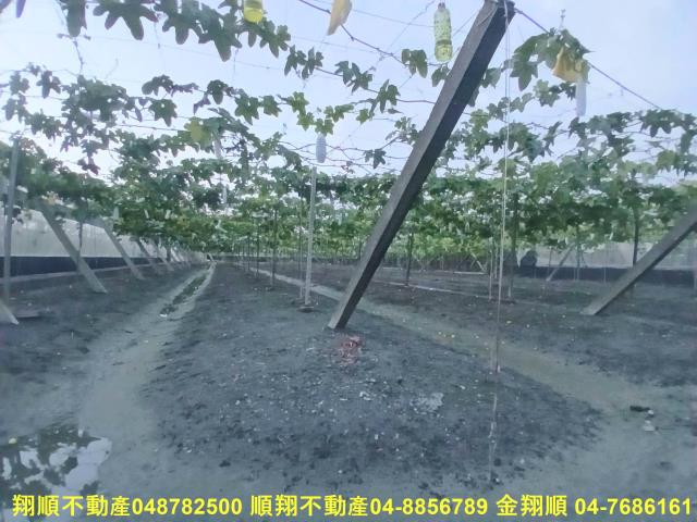 溪湖農地-3