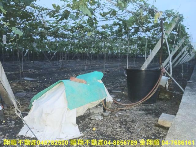 溪湖農地-6