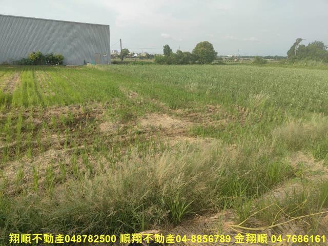 彰化溪湖農地-2