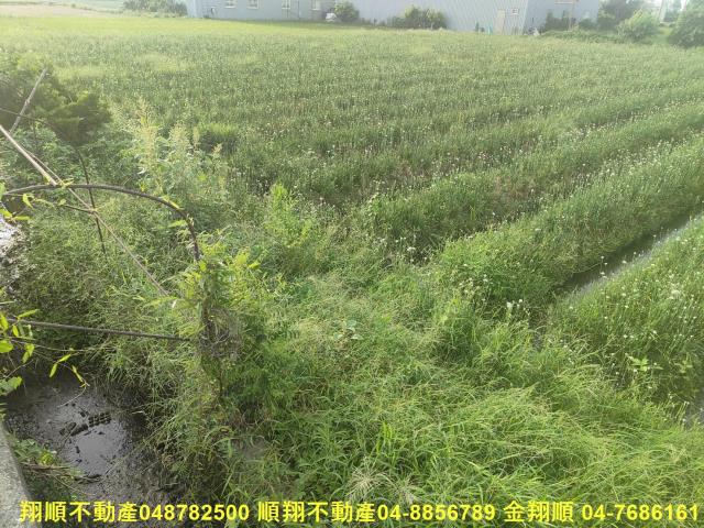 彰化溪湖農地-7