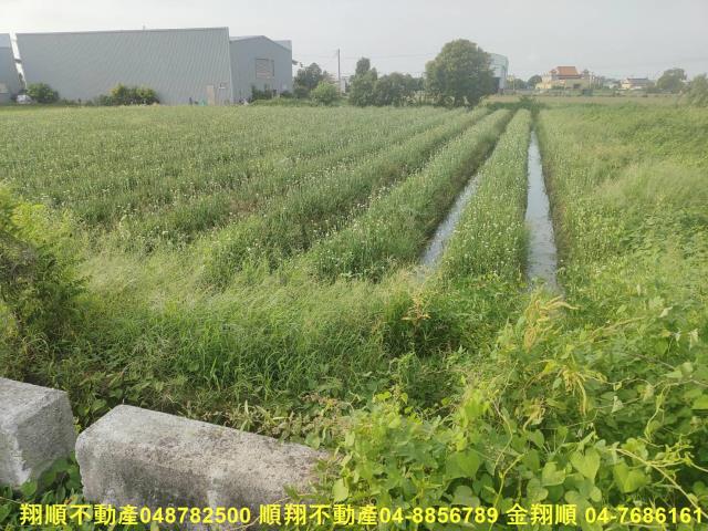 彰化溪湖農地-8