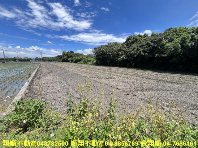 彰化北斗農地-3