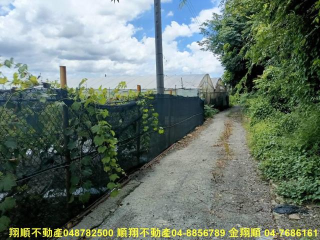 大村農地-6