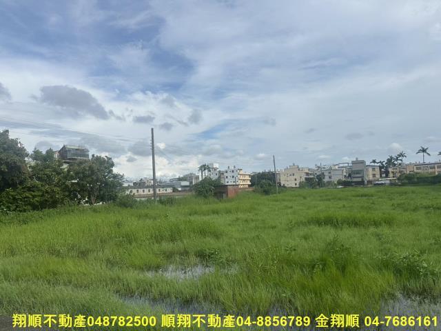 秀水農地-0