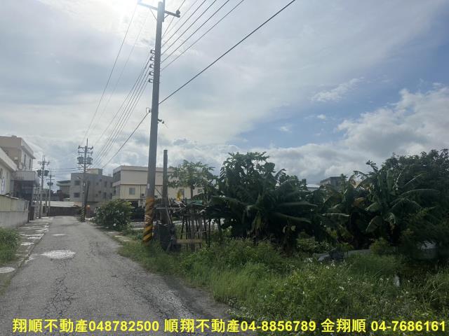 秀水農地-2