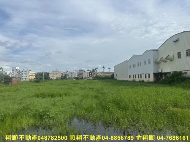 秀水農地-4