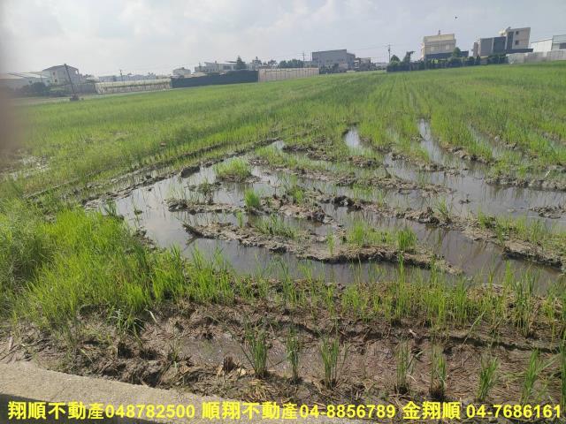 埔鹽農地-9