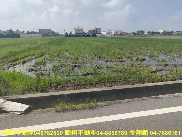 埔鹽農地-10