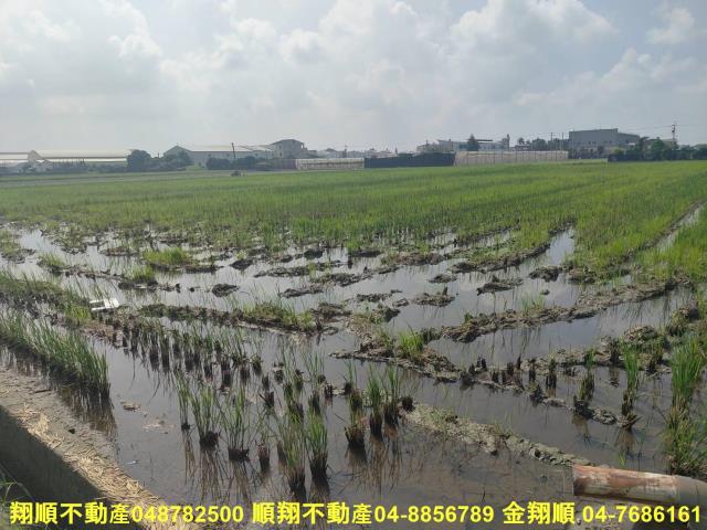 埔鹽農地-4