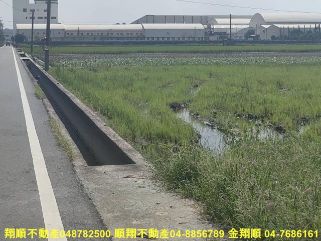 埔鹽農地-8