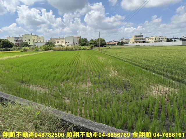彰化農地-4