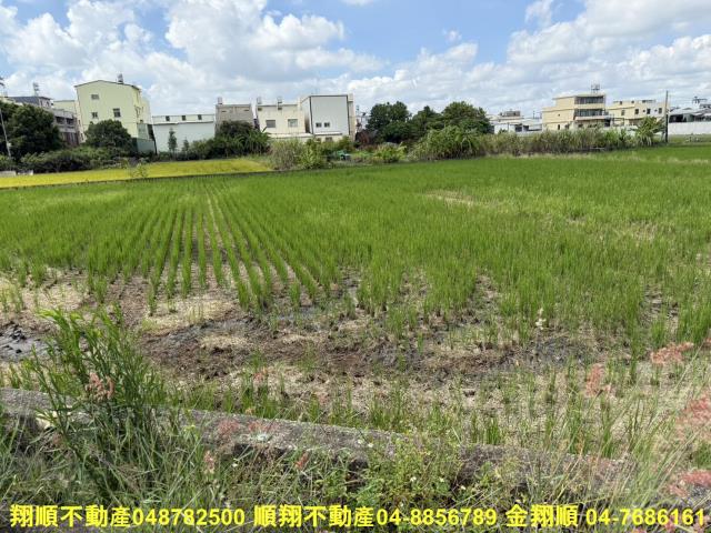 彰化農地-7