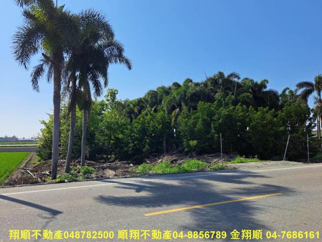 彰化溪州農地-1