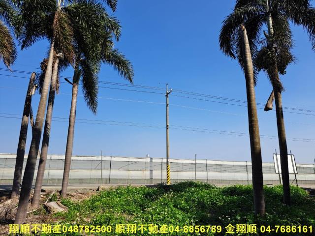彰化溪州農地-8