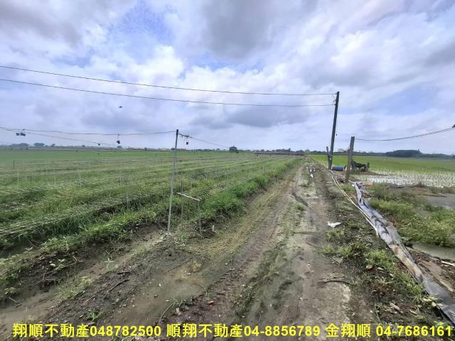 竹塘農地-2