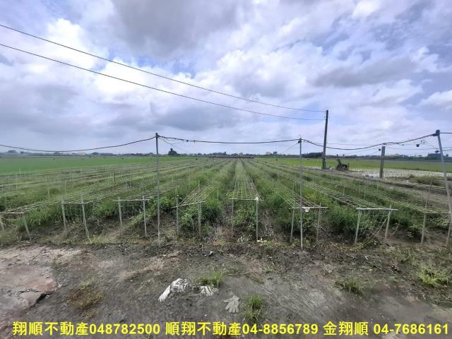 竹塘農地-3