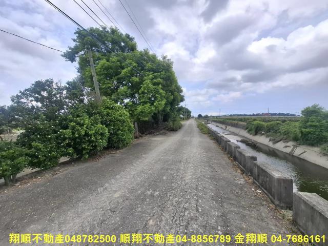 竹塘農地-4