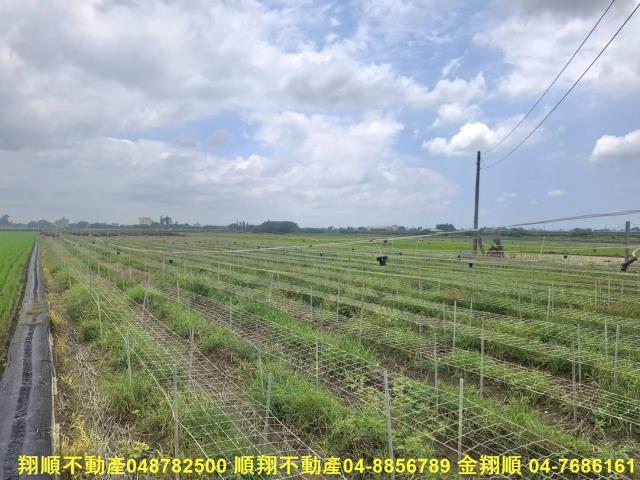 竹塘農地-5