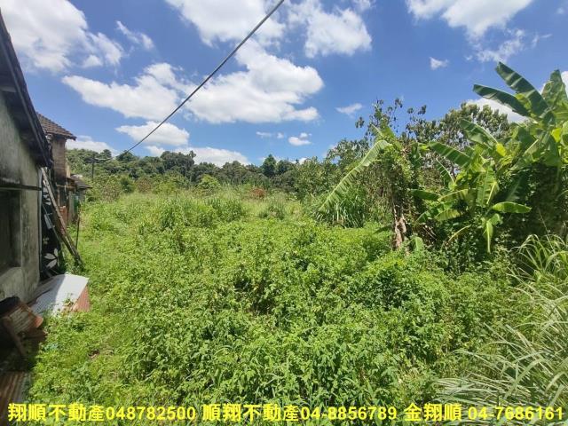 南投中寮農地-12