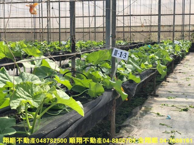 彰化埔鹽農地-1