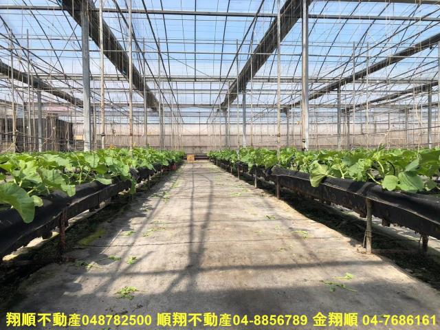 彰化埔鹽農地-2