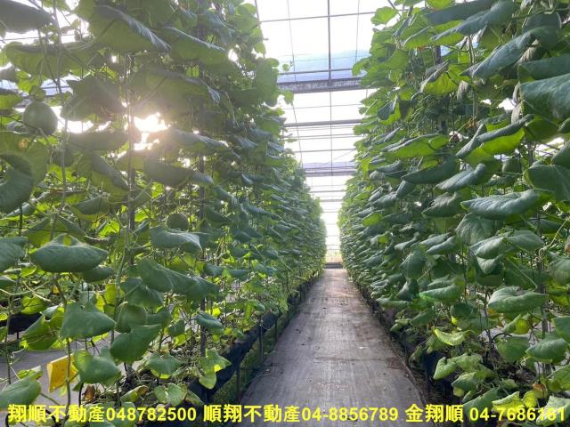 彰化埔鹽農地-4