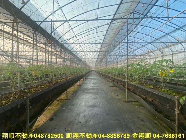 彰化埔鹽農地-5