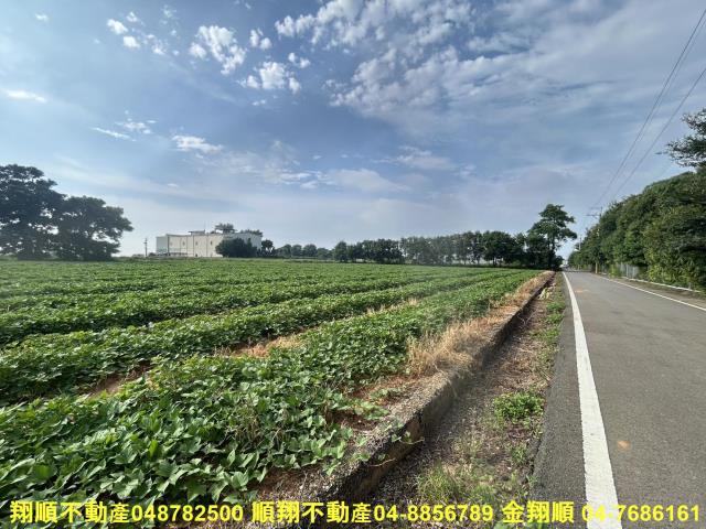 台中農地-10