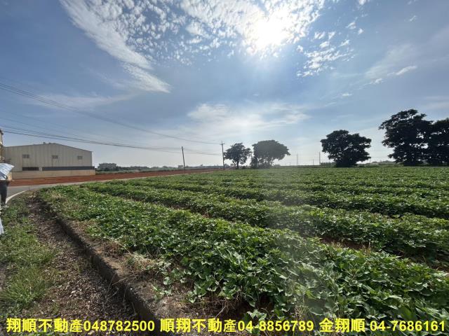 台中農地-14