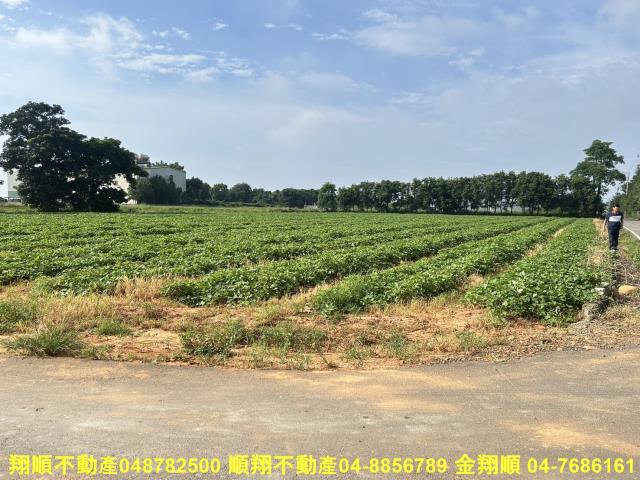 台中農地-2