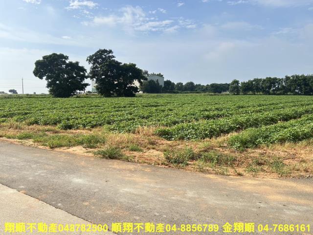 台中農地-3