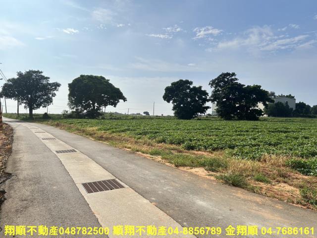台中農地-4