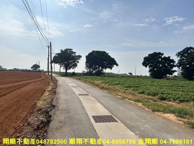 台中農地-6