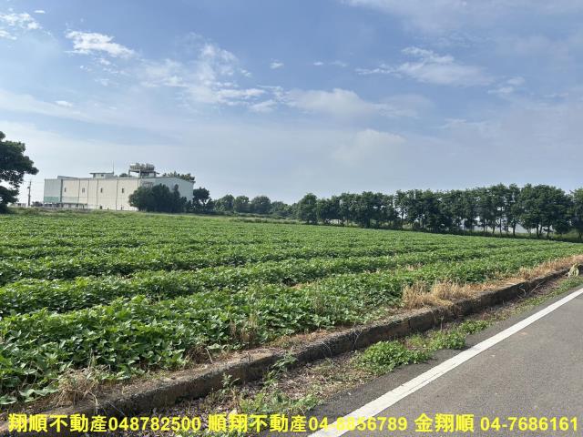 台中農地-8