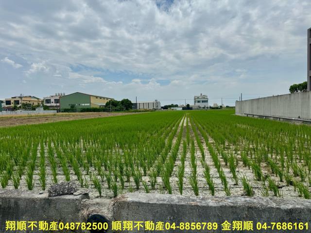 福興農地-0