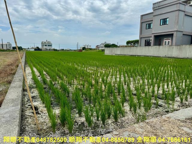 福興農地-1