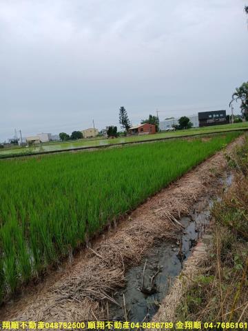 彰化建地-3