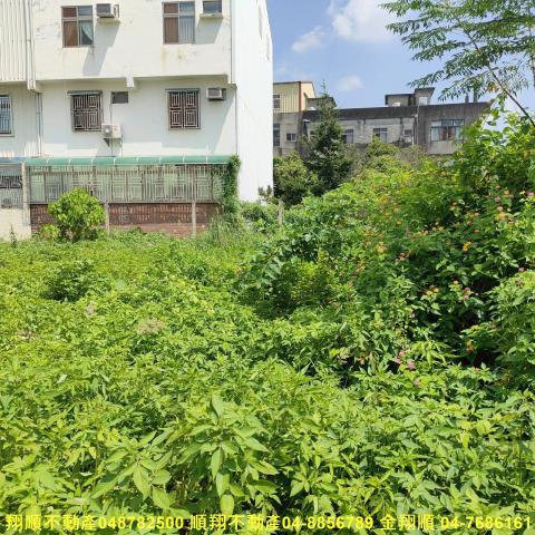 彰化田尾建地-3