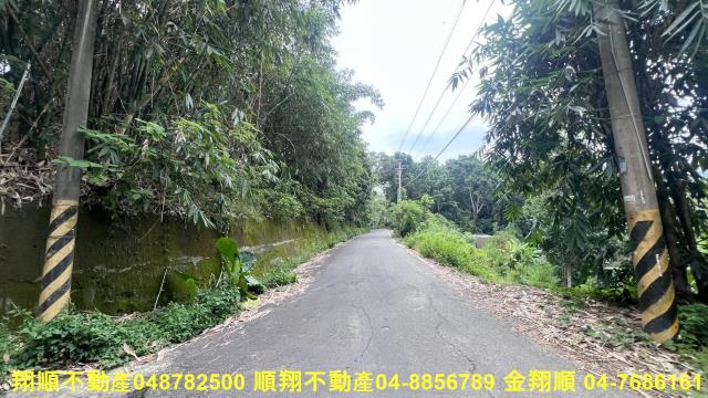 台中太平山坡地-0