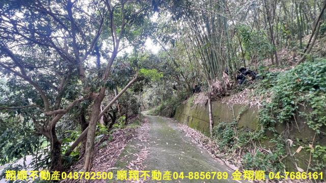 台中太平山坡地-2