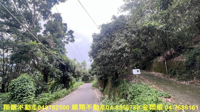 台中太平山坡地-3