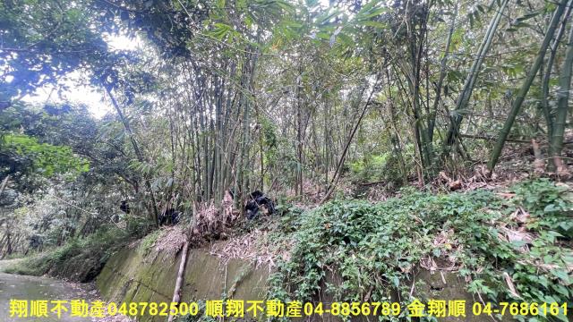 台中太平山坡地-4