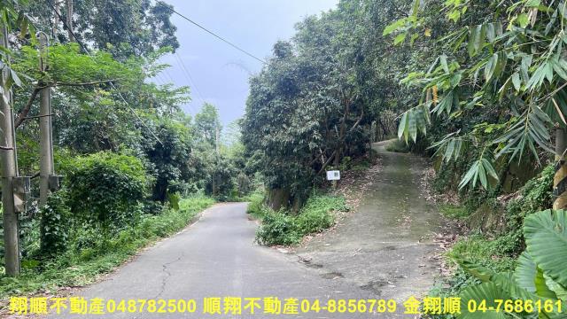 台中太平山坡地-5