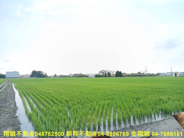 埔心農地-3