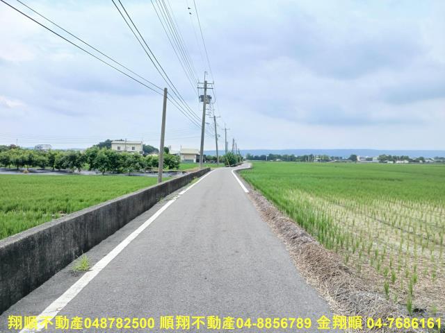 埔心農地-5