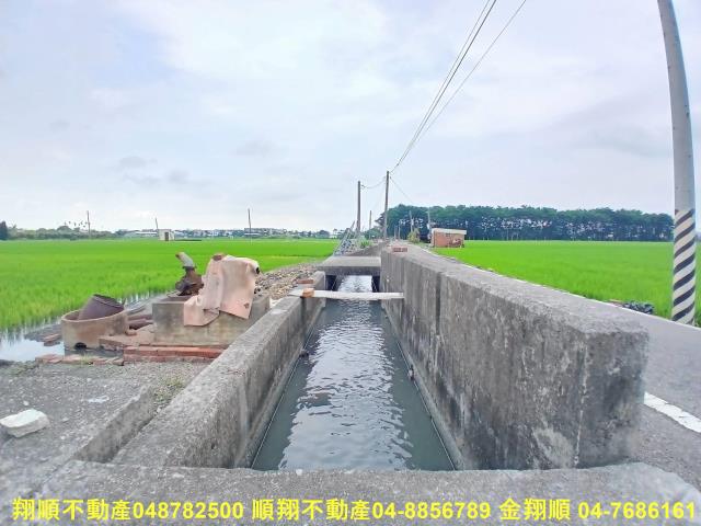 埔心農地-8