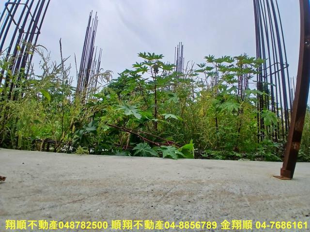 彰化田中建地-0