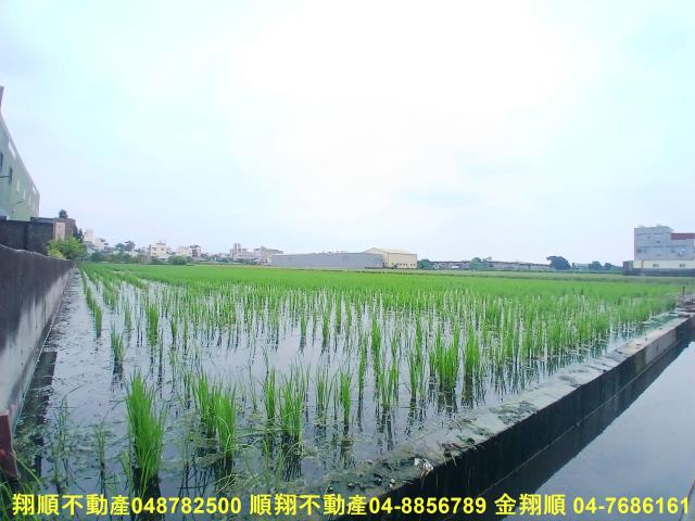 花壇農地-1