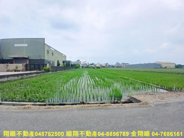 花壇農地-3